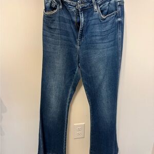 Classic Blue Women's Jeans flying monkey